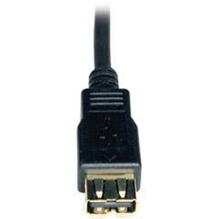 TRIPP LITE Tripp Lite USB 2.0 A to A Extension Cable U024-006 U024-006
